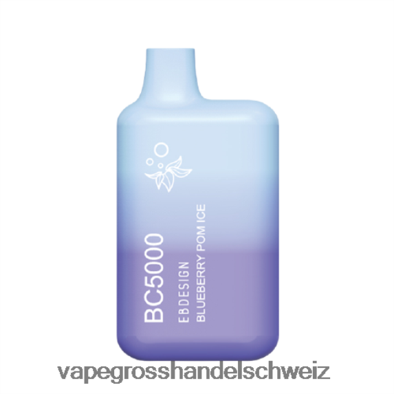 Elektronische Zigarette Flugzeug 666R84299 Blaubeer-Pom-Eis ELFBAR BC5000