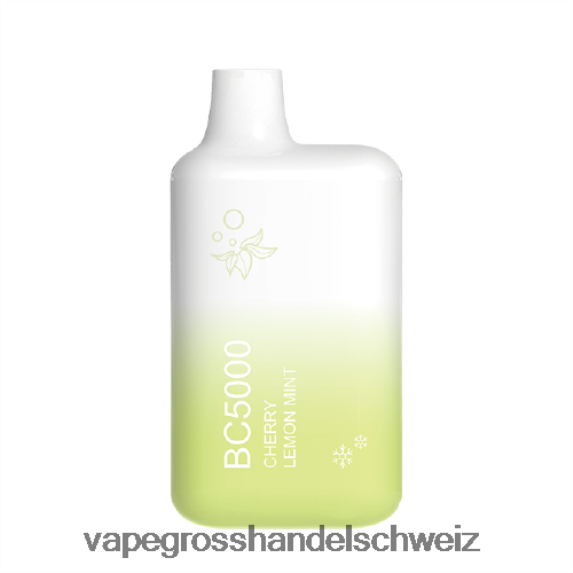 Vape Großhandel Preise 666R84302 Zitronenminze ELFBAR BC5000