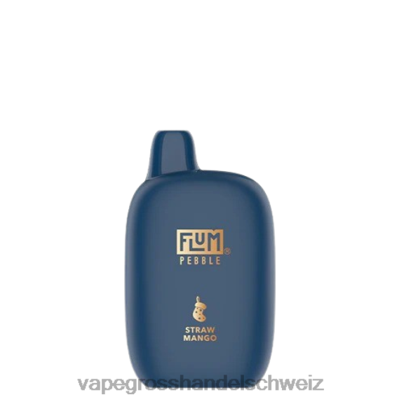 Vape Großhandel Preise - FLUM PEBBLES 6000 Züge (Weihnachtsausgabe) Strohmango 6F44811