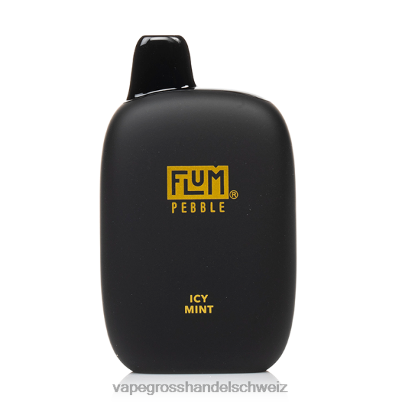 Vape Großhandel Tornado - FLUM PEBBLES 6000 Züge eisige Minze 6F44830