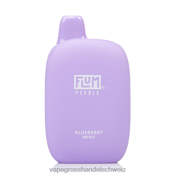 Vape Grosshandel Schweiz - FLUM PEBBLES 6000 Züge Blaubeerminze 6F44823