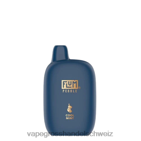 Vape Grosshandel Schweiz - FLUM PEBBLES 6000 Züge (Weihnachtsausgabe) kühle Minze 6F4485