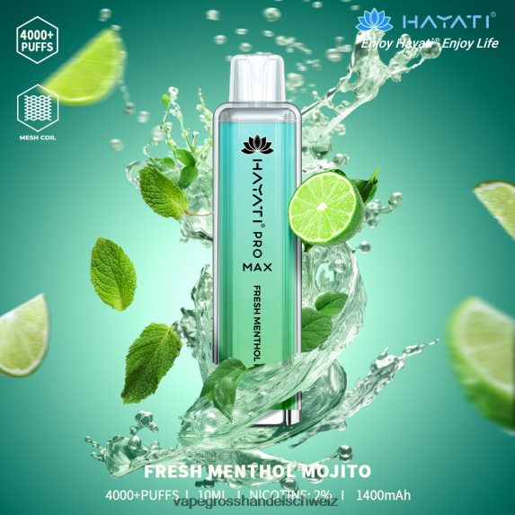 Elektronische Zigarette Kaufen 666R84187 frischer Menthol-Mojito Hayati Pro Max 4000