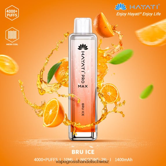 Vape Großhandel Elfbar 666R84184 Bru-Eis Hayati Pro Max 4000