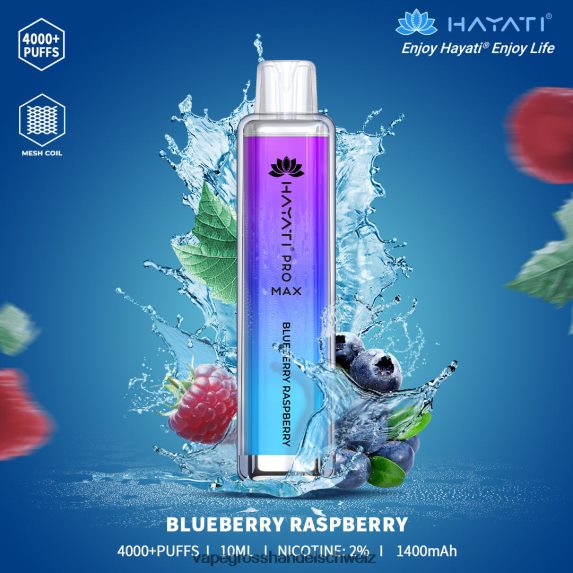 blaubeer-himbeere