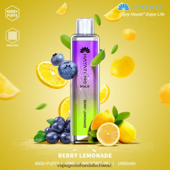 Beerenlimonade
