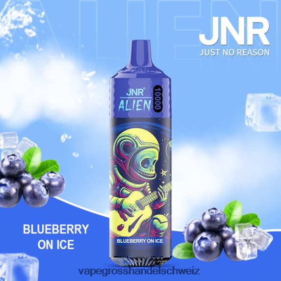 Elektronische Zigarette Flugzeug 666R84639 Blaubeere auf Eis JNR ALIEN