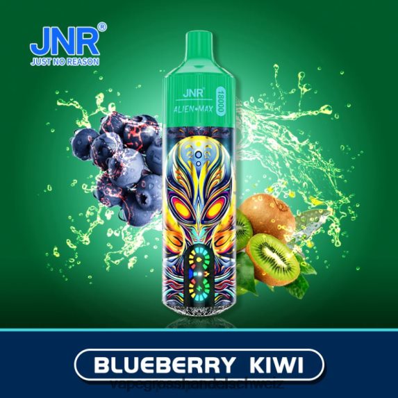 Blaubeer-Kiwi