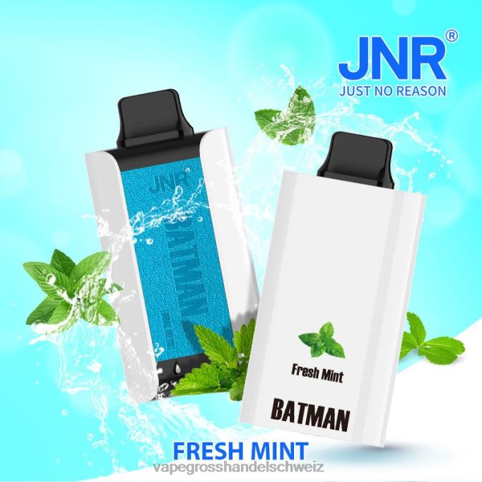 Vape Großhandel Elfbar - JNR BATMAN 11000 frische Minze NX6R24