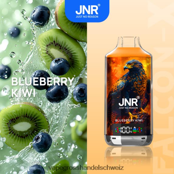 Vape Großhandel 666R84561 Blaubeer-Kiwi JNR FALCON-X