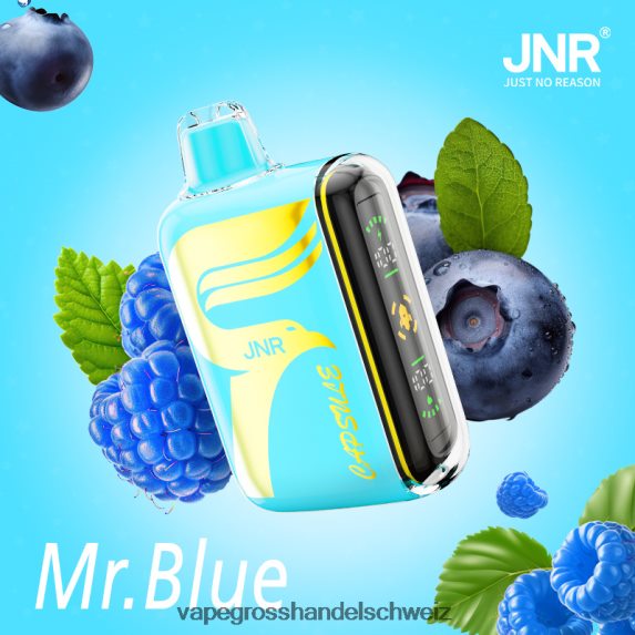 Dampfen Schweiz 666R84606 Herr Blau JNR CAPSULE