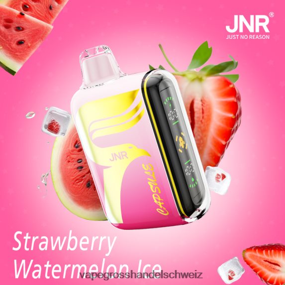 erdbeer-wassermelonen-eis