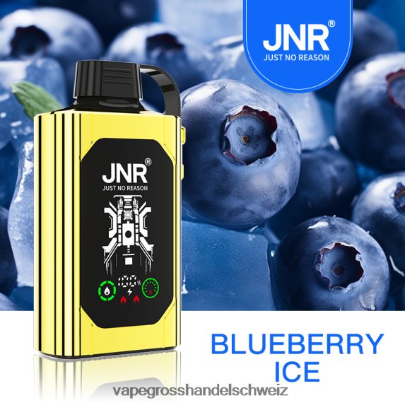 Elektronische Zigarette Kaufen 666R84617 Blaubeereis JNR SHISHA BOX