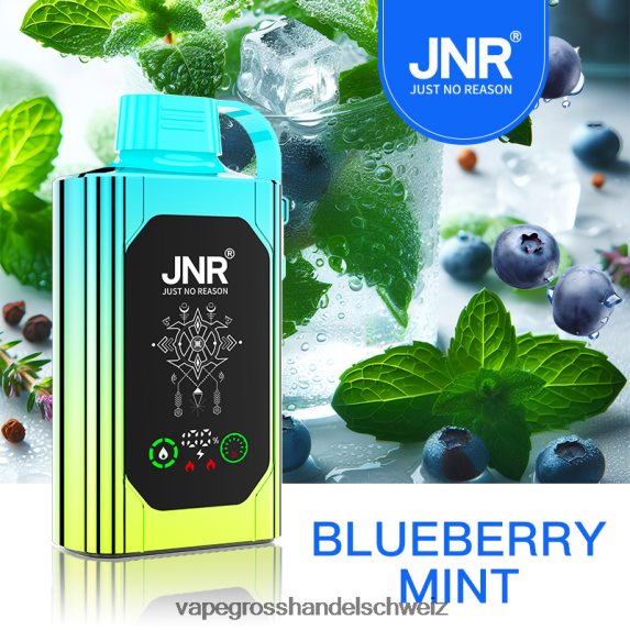 Elektronische Zigarette Ohne Nikotin 666R84618 Blaubeerminze JNR SHISHA BOX