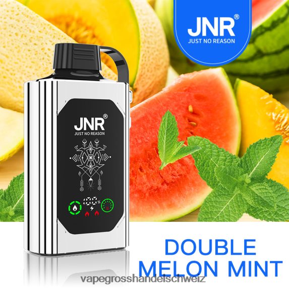Vape Großhandel 666R84621 doppelte Melonenminze JNR SHISHA BOX
