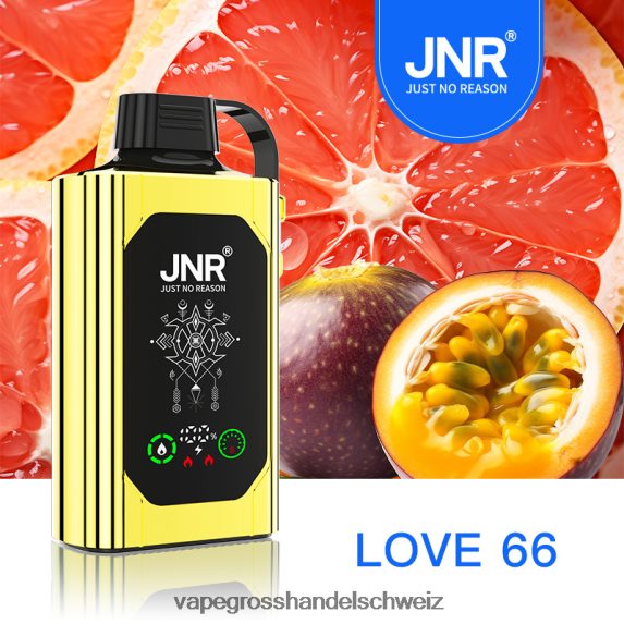 Vape Großhandel Elfbar 666R84624 Liebe 66 JNR SHISHA BOX