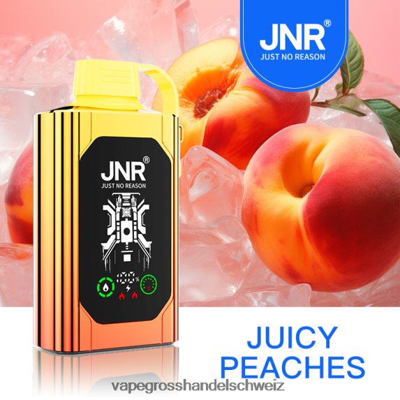 Vape Großhandel Preise 666R84622 saftige Pfirsiche JNR SHISHA BOX