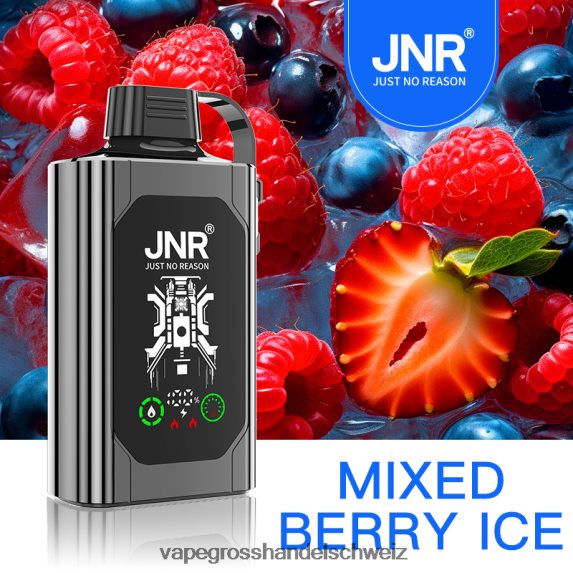 Vape Grosshandel Schweiz 666R84625 gemischtes Beereneis JNR SHISHA BOX