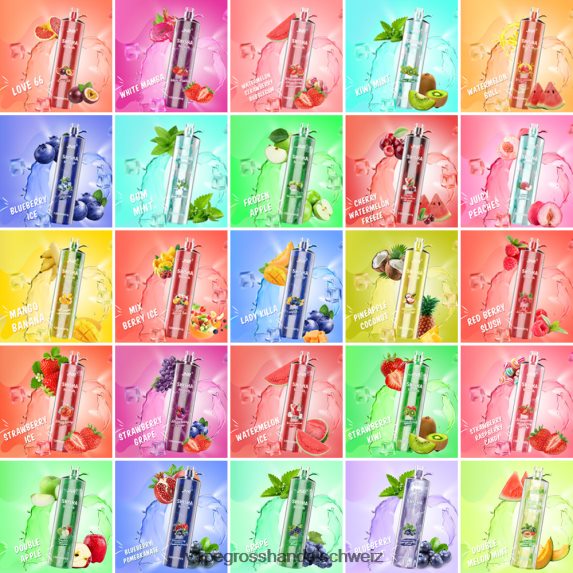 Dampfen Schweiz 666R84676 doppelte Melonenminze JNR SHISHA
