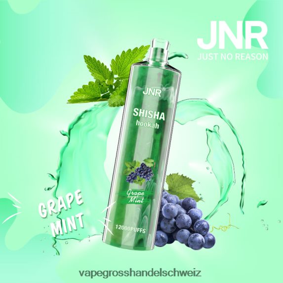 Elektronische Zigarette Ohne Nikotin 666R84678 Traubenminze JNR SHISHA