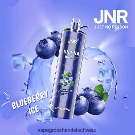 Vape Großhandel 666R84671 Blaubeereis JNR SHISHA