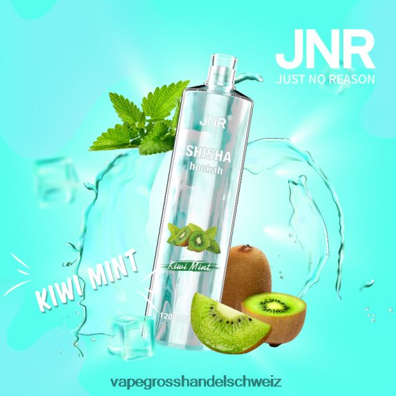 Vape Großhandel 666R84681 Kiwi-Minze JNR SHISHA