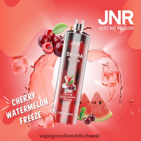 Vape Großhandel Elfbar 666R84674 Kirschwassermelone einfrieren JNR SHISHA