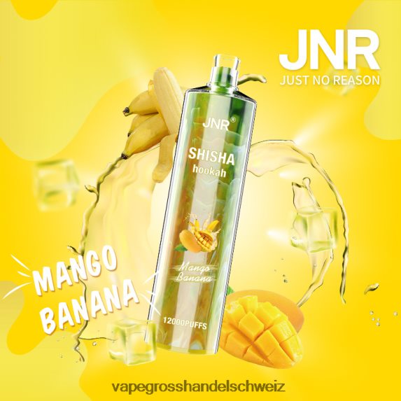 Vape Großhandel Elfbar 666R84684 Mango-Banane JNR SHISHA