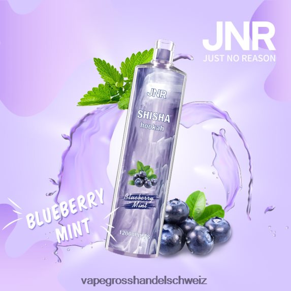 Vape Großhandel Preise 666R84672 Blaubeerminze JNR SHISHA