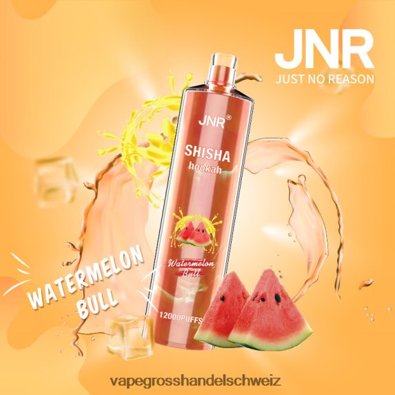 Vape Großhandel Preise 666R84692 Wassermelonenbulle JNR SHISHA