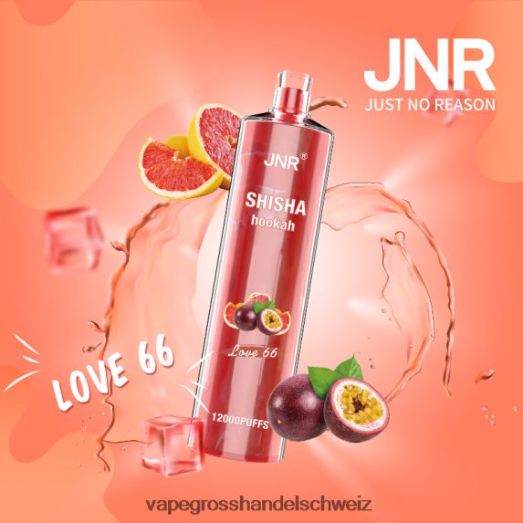Vape Großhandel Tornado 666R84683 Liebe 66 JNR SHISHA