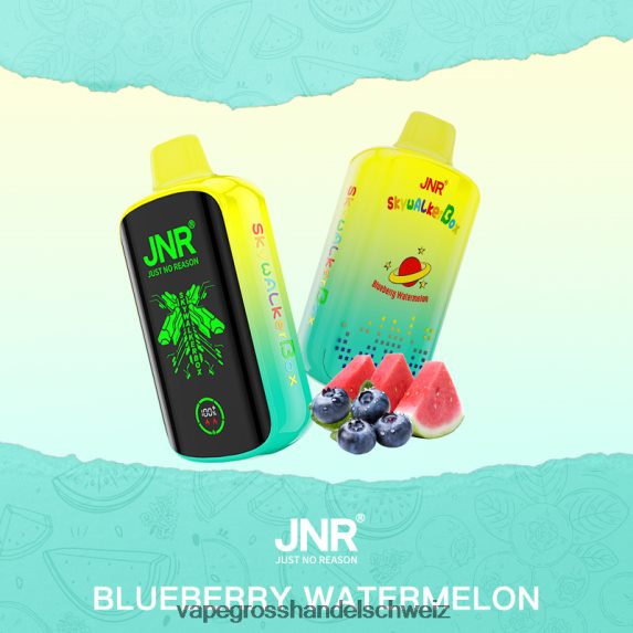 Dampfen Schweiz 666R84586 Blaubeer-Wassermelone JNR SKYWALKER BOX