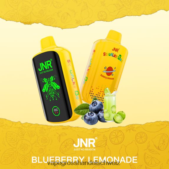 Vape Großhandel Elfbar 666R84584 Heidelbeer-Limonade JNR SKYWALKER BOX