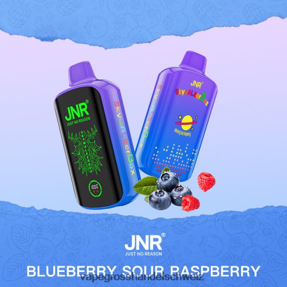 Vape Grosshandel Schweiz 666R84585 Heidelbeere, saure Himbeere JNR SKYWALKER BOX