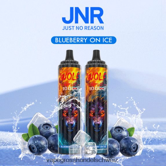 blaue Beere auf Eis