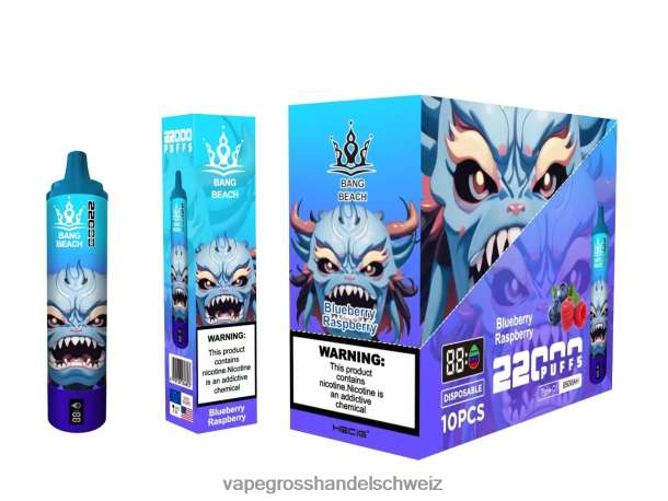 Bang Beach 22000 Züge intelligenter Bildschirm Blaubeer-Himbeere Vape Großhandel Elfbar - 8NZ2814