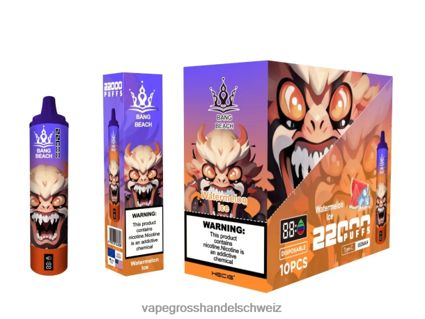Bang Beach 22000 Züge intelligenter Bildschirm Wassermeloneneis Vape Großhandel Preise - 8NZ2822