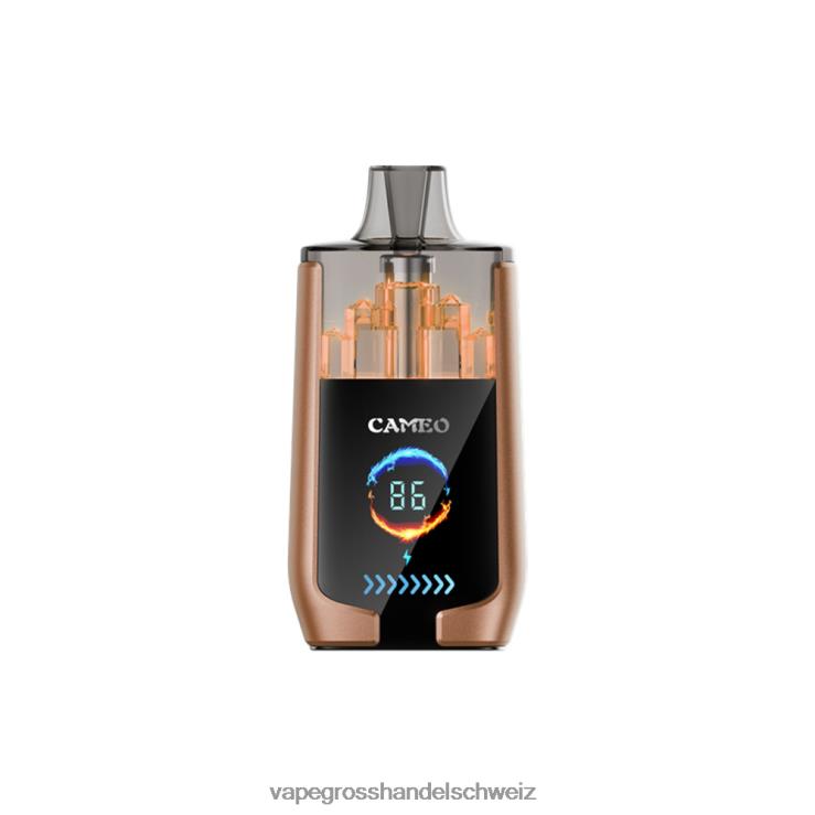 Elektronische Zigarette Ohne Nikotin - LAVIE CAMEO 30000 Züge Kaffeeeis F428L18