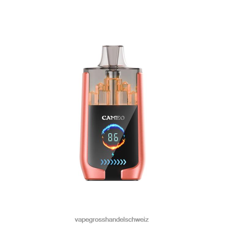 Vape Großhandel Elfbar - LAVIE CAMEO 30000 Züge Erdbeerwassermelone F428L24