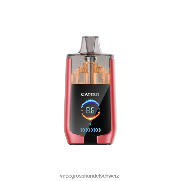 Vape Großhandel Elfbar - LAVIE CAMEO 30000 Züge Wassermeloneneis F428L14