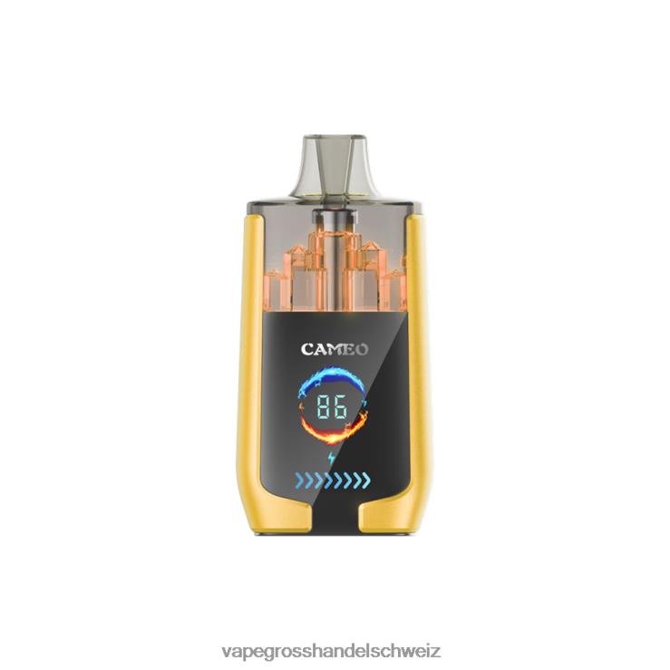 Vape Großhandel - LAVIE CAMEO 30000 Züge Mango-Eis F428L21