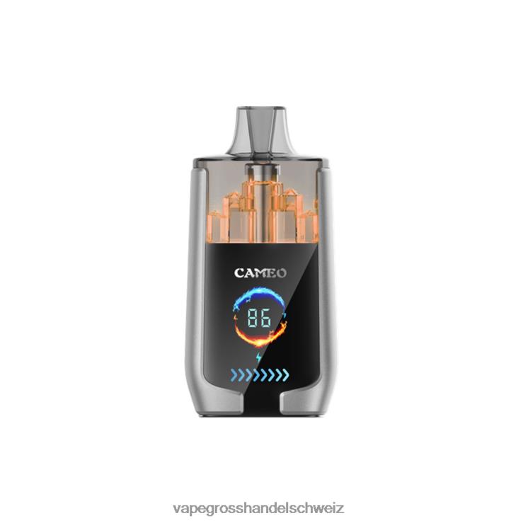 Vape Grosshandel Schweiz - LAVIE CAMEO 30000 Züge Blaubeereis F428L15