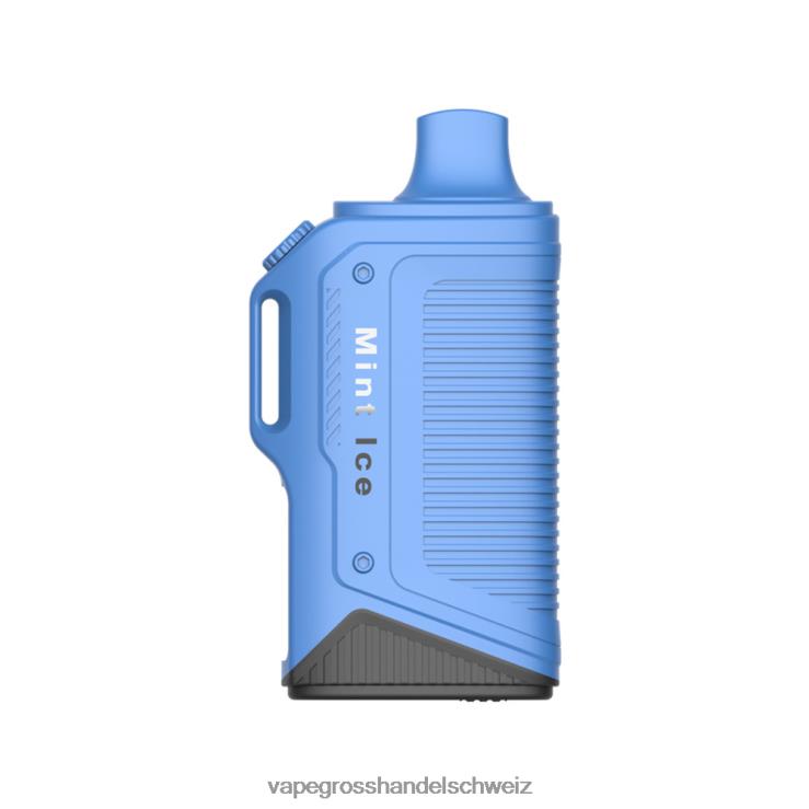 Vape Großhandel Preise - LAVIE Energy Box 15000 Züge Minz-Eis F428L72