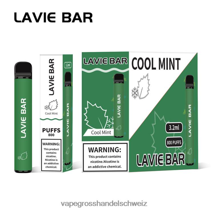 Vape Großhandel - LAVIE BAR 800 Züge kühle Minze F428L311