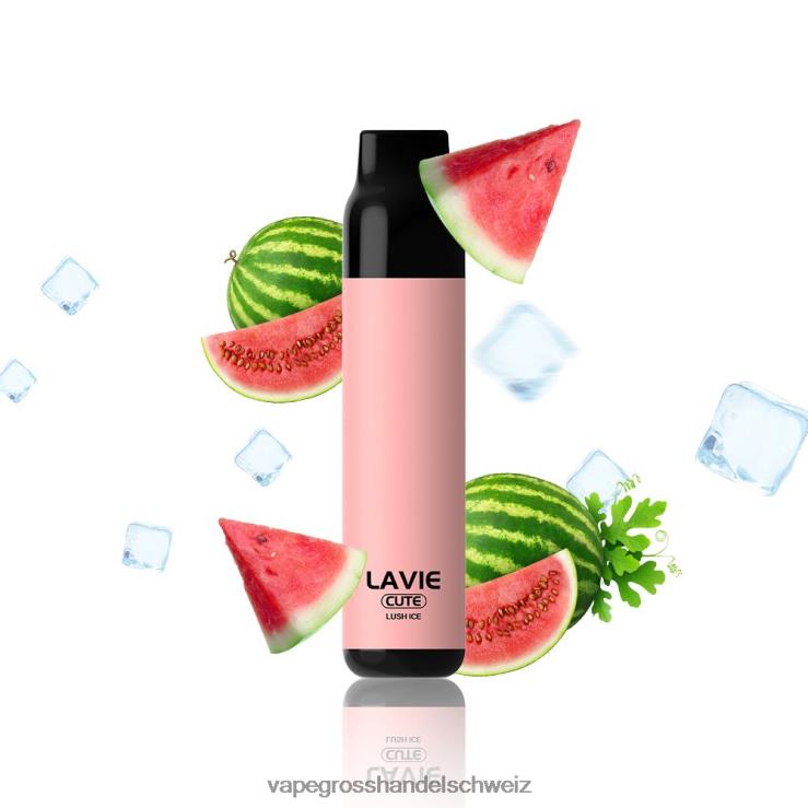Vape Grosshandel Schweiz - LAVIE BAR 3000 Züge üppiges Eis F428L285