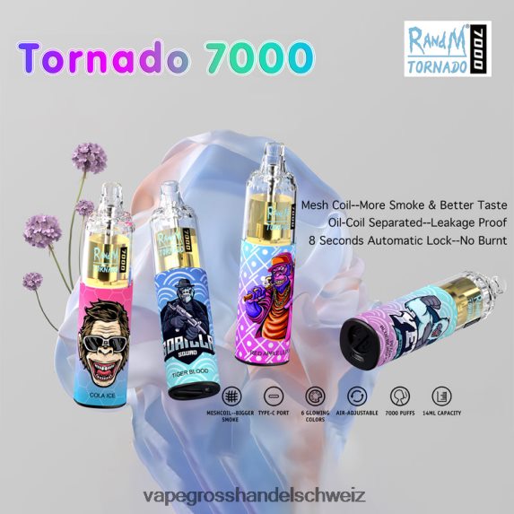 Vape Großhandel 666R841 Einweg RandM Tornado 7000 5 %