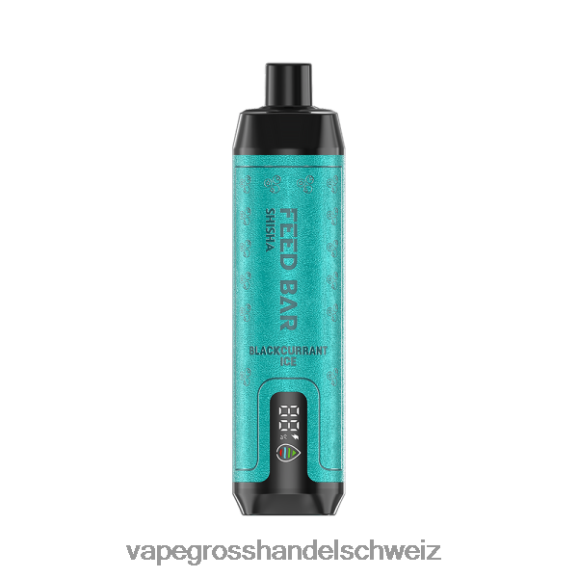 Dampfen Schweiz - Vapsolo SHISHA Einweg-Vapor schwarzes Johannisbeereis HTX6V496