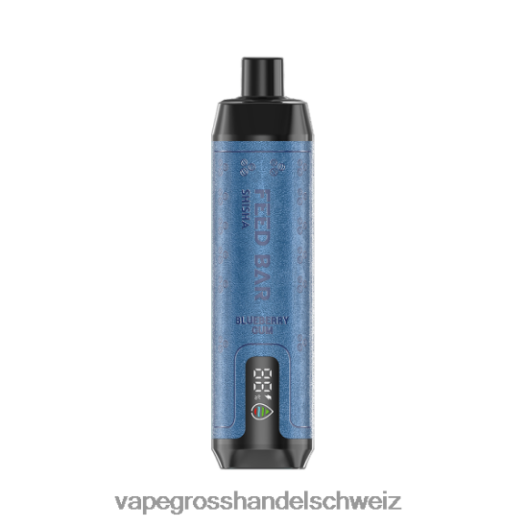Elektronische Zigarette Ohne Nikotin - Vapsolo SHISHA Einweg-Vapor Blaubeergummi HTX6V498