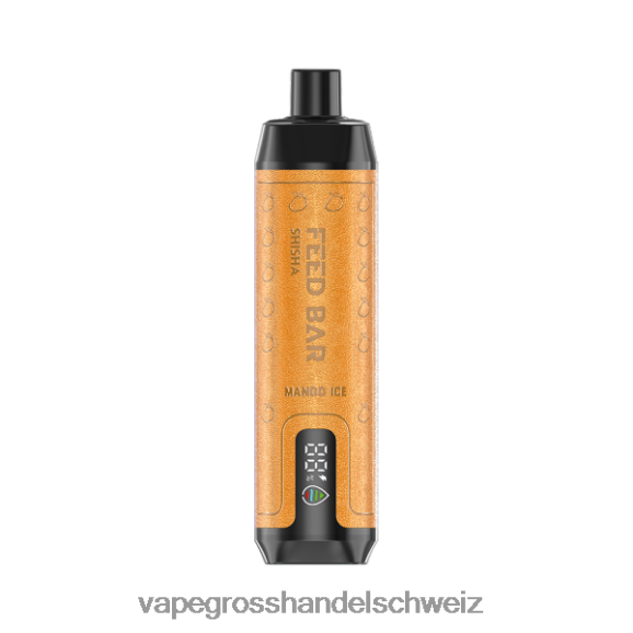 Vape Großhandel Elfbar - Vapsolo SHISHA Einweg-Vapor Mango-Eis HTX6V4103