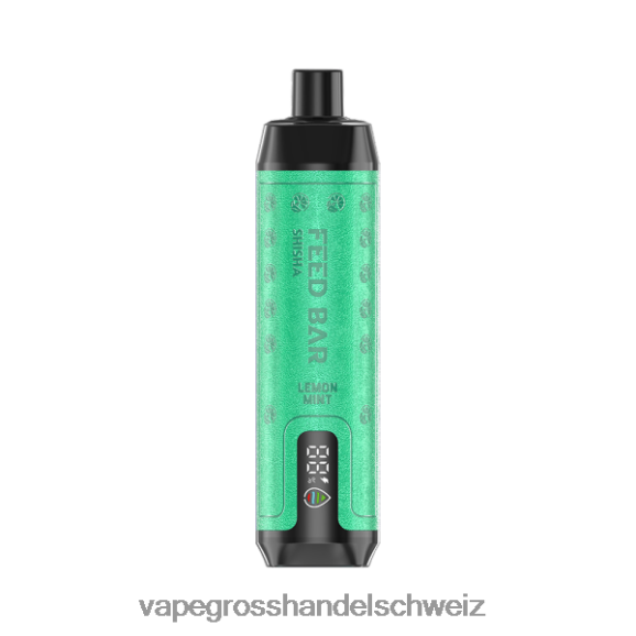 Vape Großhandel Preise - Vapsolo SHISHA Einweg-Vapor Zitronenminze HTX6V4101